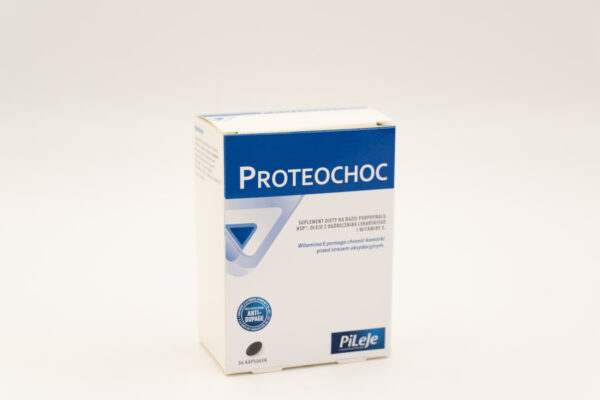 Proteochoc pomaga chronić komórki w czasie stresu